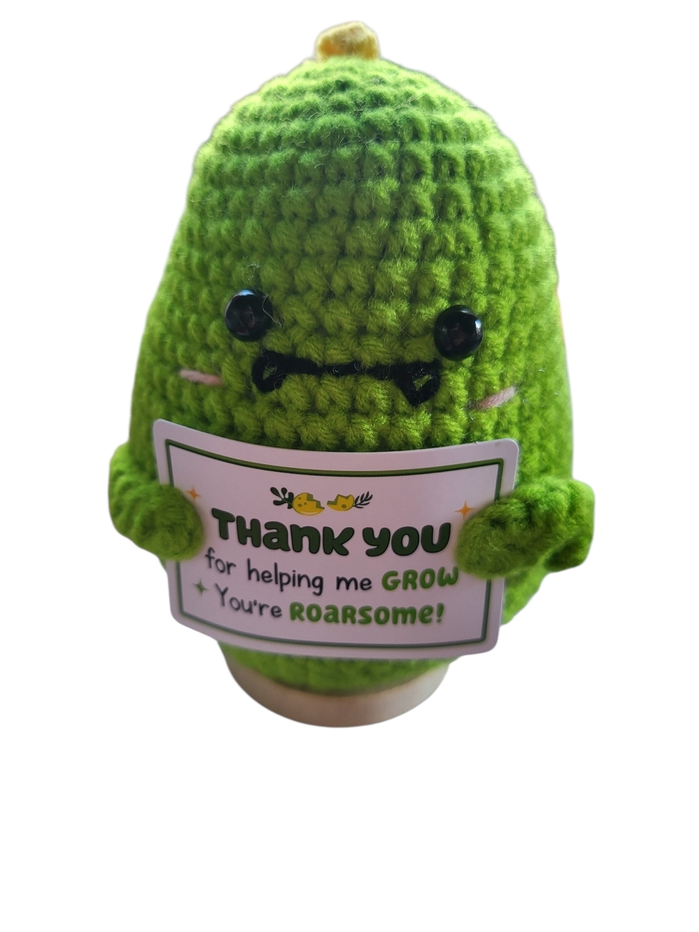 Goseby Crochet Dinosaur Teacher Gift “Thank You for Helping Me Grow” Boxed